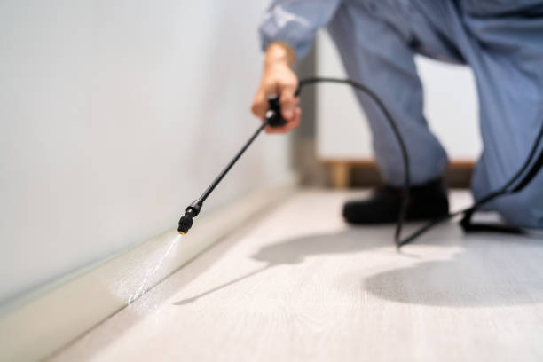 Licensed Wasp Removal service in Comstock Northwest, MI - Show Me Pest Control