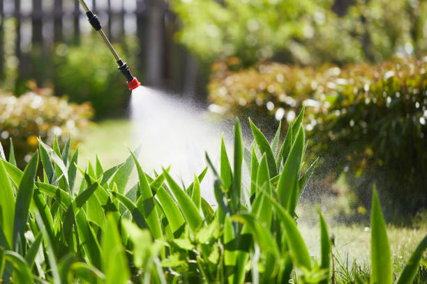 24/7 Emergency Wasp Removal experts in Comstock Northwest, MI