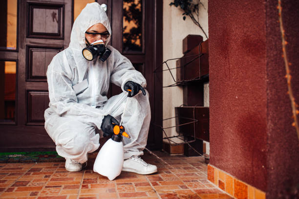 Reliable Wasp Removal contractor in Comstock Northwest, MI by Show Me Pest Control