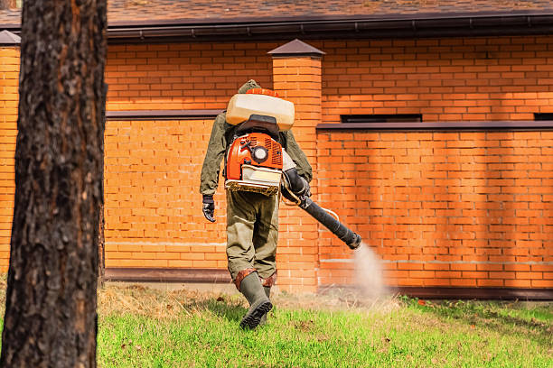 Top rated local Wasp Removal specialists in Comstock Northwest, MI